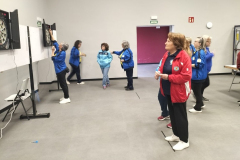 4-COPA-CAT-DARDS