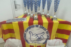 1-45e-CAMPIONAT-DARDS