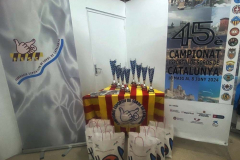 2-45e-CAMPIONAT-DARDS