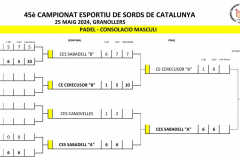 LLIGUES PADEL 2024.xlsx