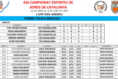 LLIGUES TENIS MESA 2024.xlsx